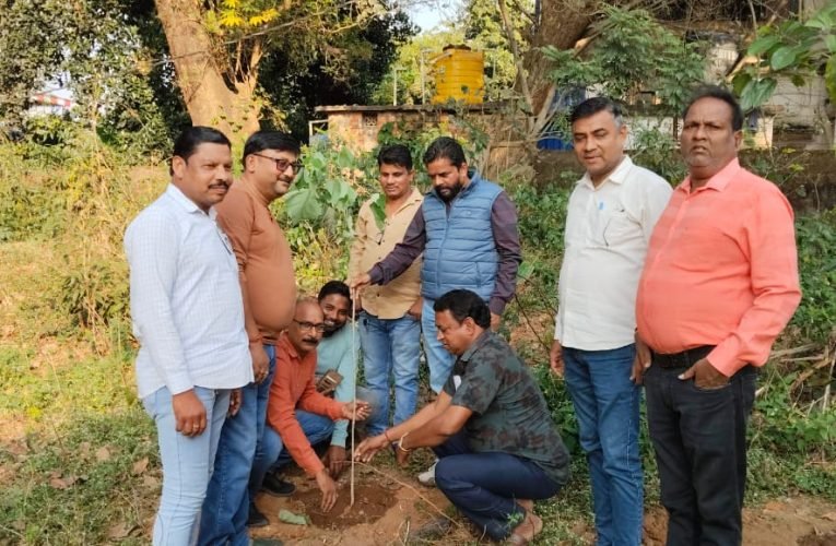 चाकुलिया डाकबंगला परिषद में पौधारोपण कार्यक्रम, विधायक समीर कुमार मोहंती ने लगाया पौधा