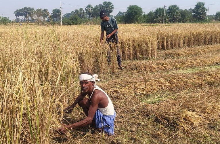 प्रखंड सहकारिता पदाधिकारी ने किया लैम्पस का निरीक्षण, किसानों को दिए आवश्यक निर्देश पाकुड़।