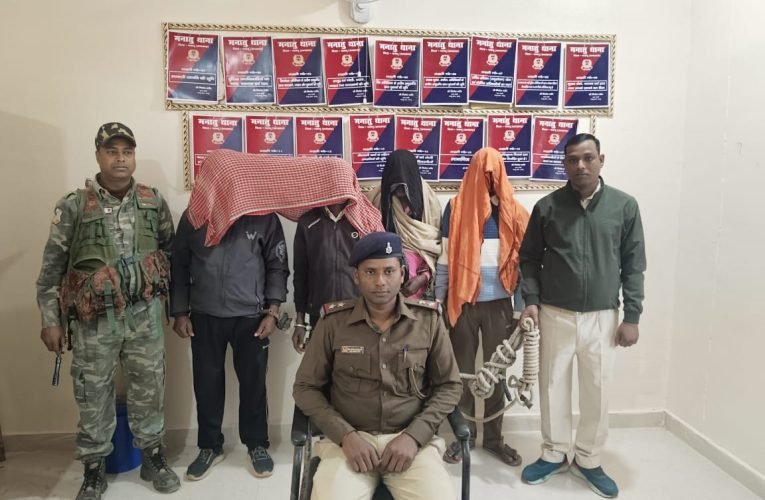 पोस्ता-अफीम की खेती के आरोप में चार आरोपी गिरफ्तार, जेल भेजे गए