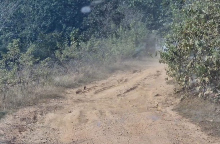 आजादी के बाद भी पक्की सड़क नहीं बना…