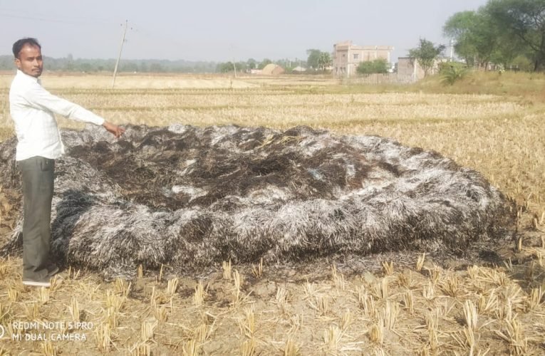 खेत में रखी धान की फसल में लगी आग, हजारों का नुकसान