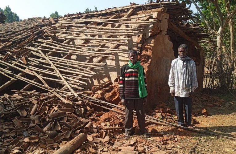 हाथियों के झुंड ने जम कर उत्पात मचा कर किसानों के धान और फसल को भारी नुकसान पहुंचाया