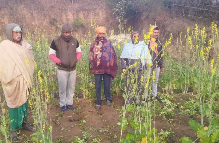 हाथियों ने किसानों का किया फसल बर्बाद