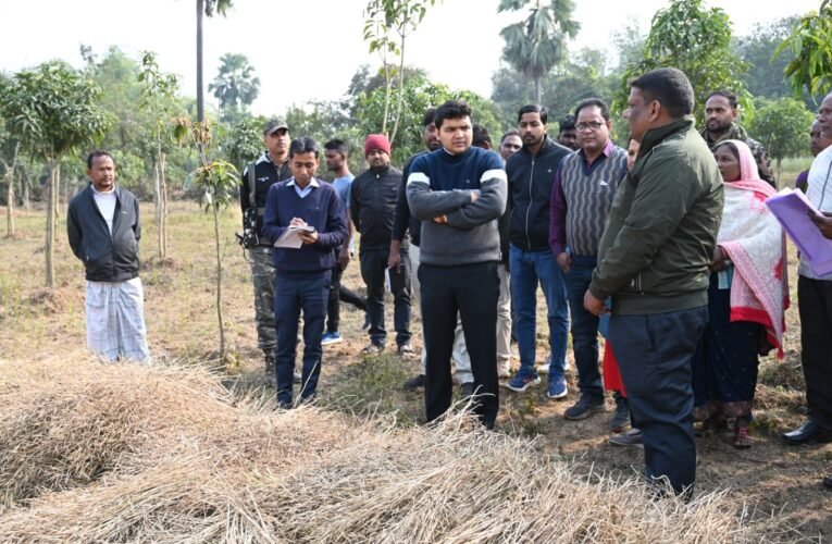 उपायुक्त ने मनरेगा अंतर्गत संचालित योजनाओं का किया निरीक्षण