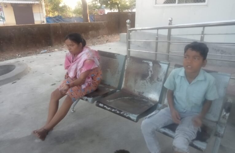 कुजू में आवारा पागल कुत्ते के आतंक से त्रस्त हैं ग्रामीण, पांच जख्मी