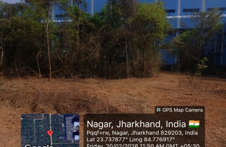 रश्मि मेटेलिक्स ने चकला पावर प्लांट परिसर में सैकड़ों पेड़ों पर चलाया डोजर, वन विभाग ने कहा अनुमति नहीं तो होगी कानूनी कार्रवाई